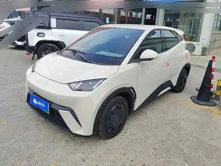 BYD SEAGULL — из Китая под ключ