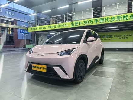 BYD SEAGULL — из Китая под ключ