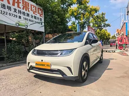BYD DOLPHIN — из Китая под ключ