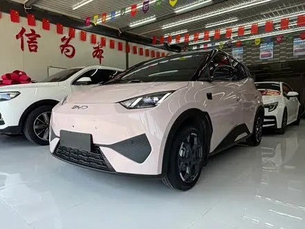 BYD SEAGULL — из Китая под ключ
