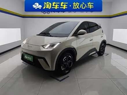BYD SEAGULL — из Китая под ключ