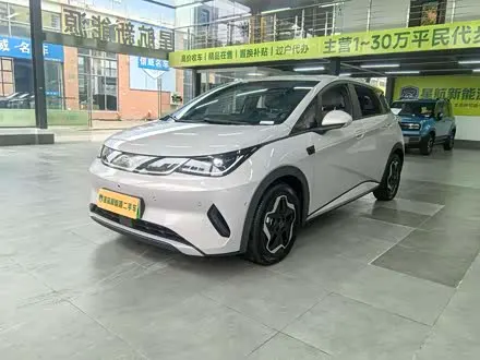 BYD DOLPHIN — из Китая под ключ
