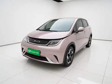 BYD DOLPHIN — из Китая под ключ