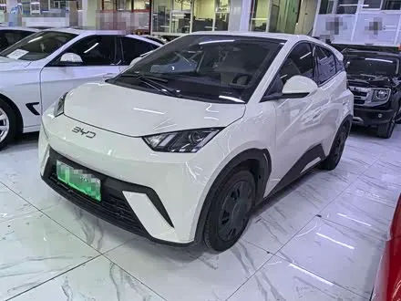 BYD SEAGULL — из Китая под ключ