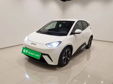BYD SEAGULL — из Китая под ключ