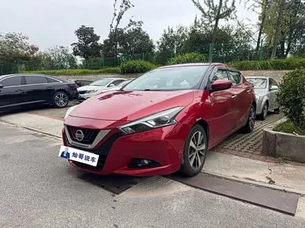 NISSAN BLUEBIRD 2019