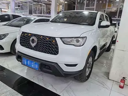 GREAT WALL POER 2021