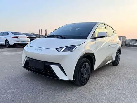 BYD SEAGULL — из Китая под ключ