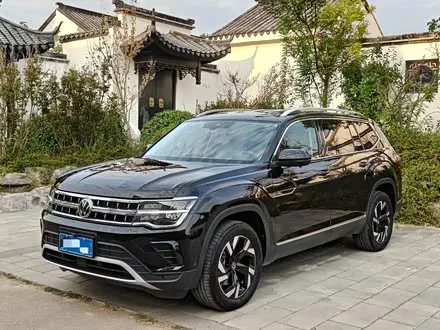 VOLKSWAGEN TERAMONT 2024