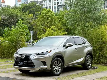 LEXUS NX — из Китая под ключ