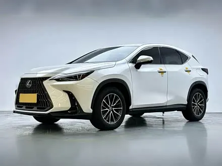 LEXUS NX — из Китая под ключ