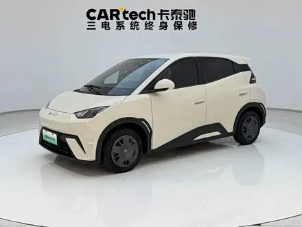 BYD SEAGULL — из Китая под ключ
