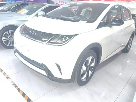 BYD DOLPHIN — из Китая под ключ
