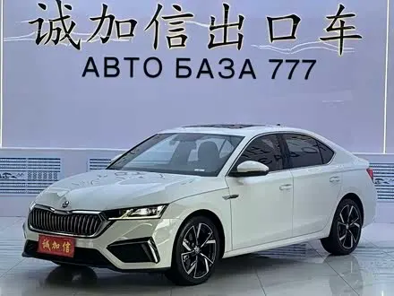 SKODA OCTAVIA — из Китая под ключ