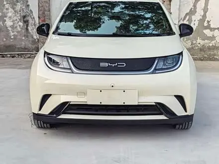 BYD DOLPHIN — из Китая под ключ