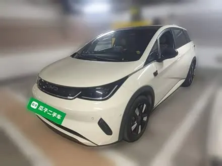 BYD DOLPHIN — из Китая под ключ