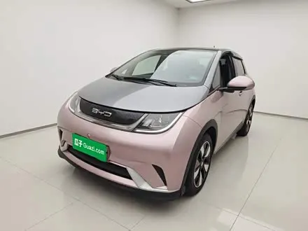 BYD DOLPHIN — из Кореи под ключ