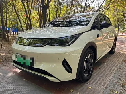 BYD DOLPHIN — из Кореи под ключ