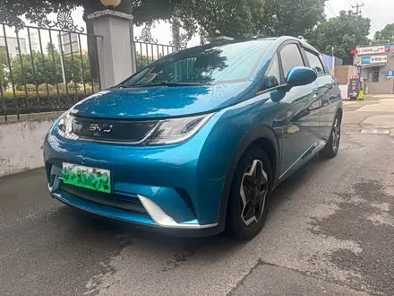 BYD DOLPHIN — из Кореи под ключ