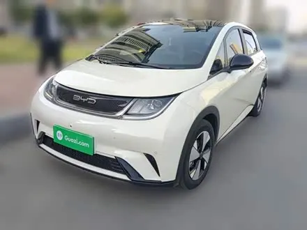 BYD DOLPHIN — из Кореи под ключ