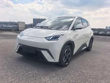 BYD SEAGULL — из Кореи под ключ