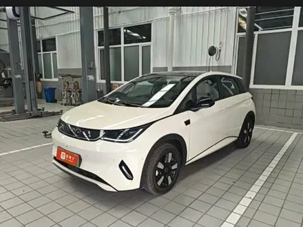 BYD DOLPHIN — из Кореи под ключ