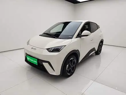 BYD SEAGULL — из Китая под ключ