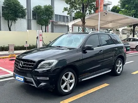 MERCEDES-BENZ M-CLASS 2014