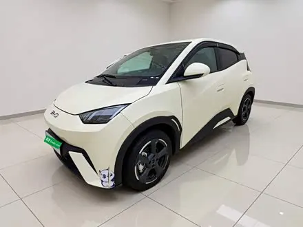 BYD SEAGULL 2023