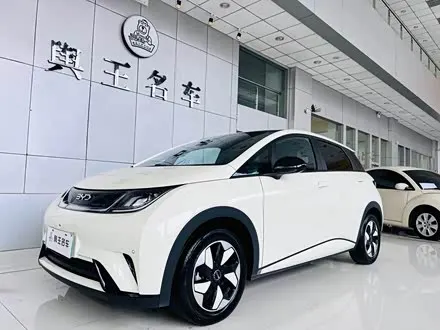 BYD DOLPHIN 2024