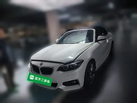 BMW 2 SERIES 2018