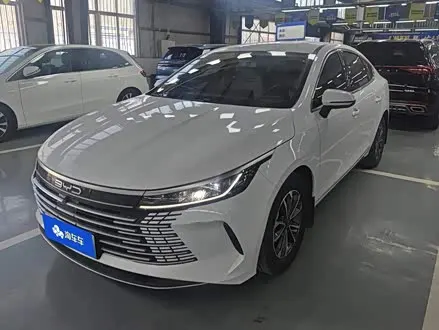BYD DESTROYER 05 2024