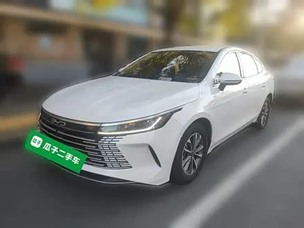 BYD DESTROYER 05 2024