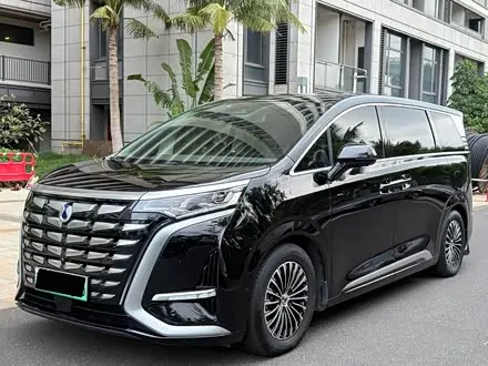 DENZA D9 2022