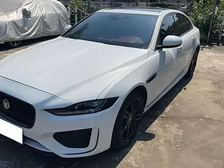 JAGUAR XEL 2024
