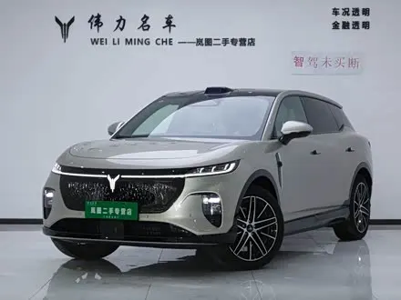 VOYAH ZHIYIN 2025