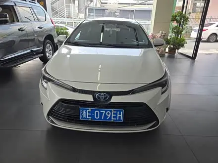 TOYOTA LEVIN 2023