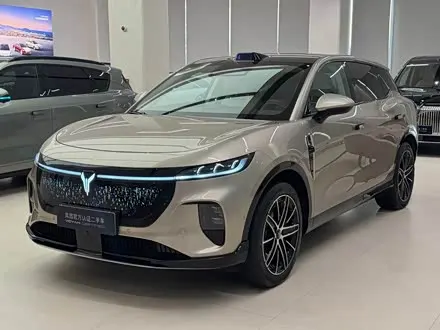 VOYAH ZHIYIN 2025