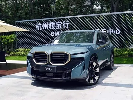 BMW XM 2023