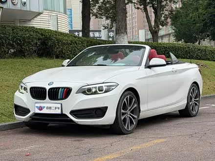 BMW 2 SERIES 2019