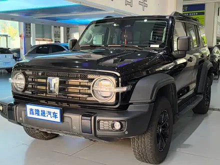 TANK 300 2024