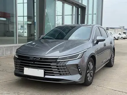 BYD DESTROYER 05 2024