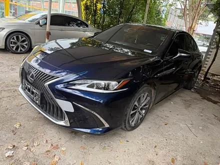 LEXUS ES 2020