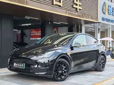 TESLA MODEL Y 2021