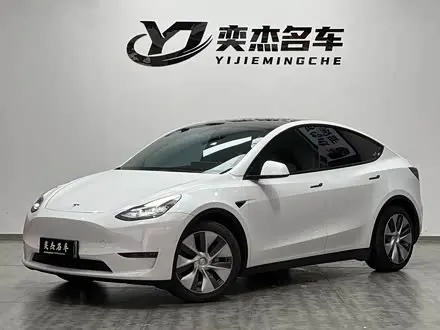 TESLA MODEL Y 2021