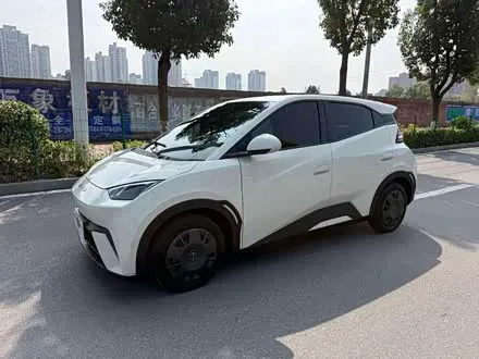 BYD SEAGULL — из Китая под ключ