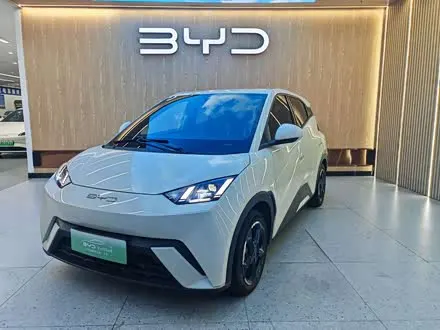 BYD SEAGULL — из Китая под ключ