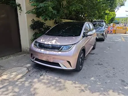 BYD DOLPHIN — из Китая под ключ
