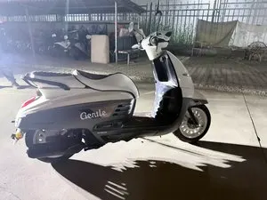 PEUGEOT DJANGO CLASSIC GENTLE — из Китая под ключ