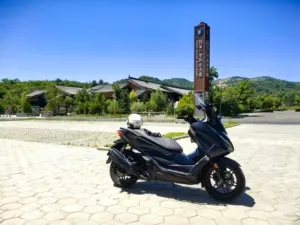 HONDA NSS350 — из Китая под ключ